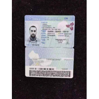Ontario(ON) Dirver license